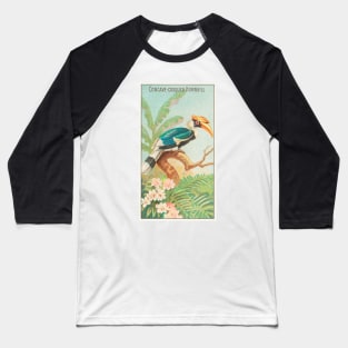 Concave-Casqued Hornbill Baseball T-Shirt